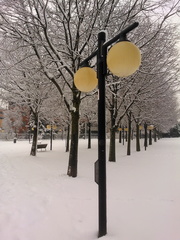 Winter street lamp
