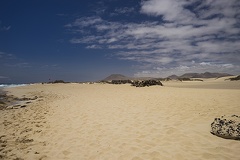 The Corralejo beach Corralejo
