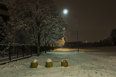Snow and night, trees and snow
