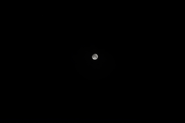 night_sky_with_the_moon.JPG