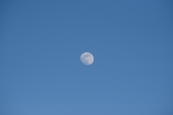 moon_in_the_sky.JPG